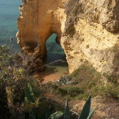 小罗代言米乐体育app下载手机版