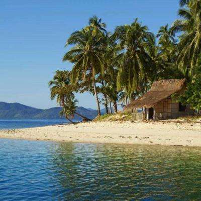 管家婆一码一肖资料大全