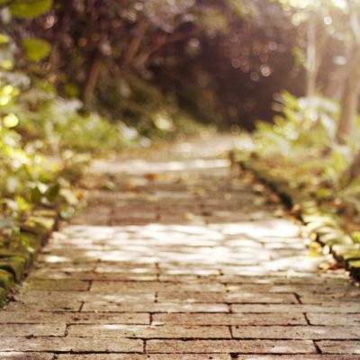 易倍手机app下载